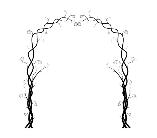 孤立在白色背景上的藤蔓剪影。常春藤拱矢量插图。死树。图片下载