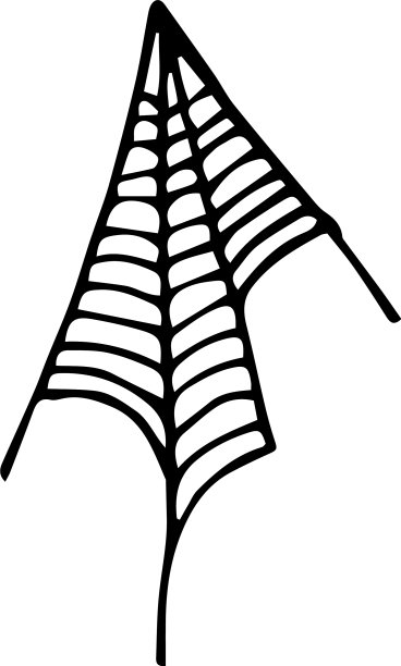 涂鸦蜘蛛网集万圣节装饰图片下载