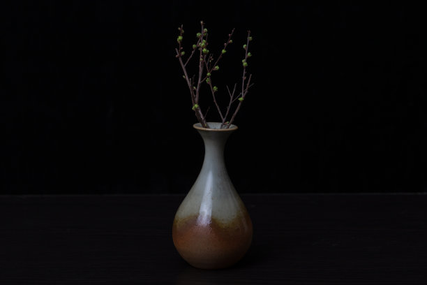 花瓶和插花花蕾在黑色的背景图片下载