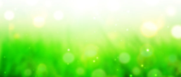 春天的插图图片下载