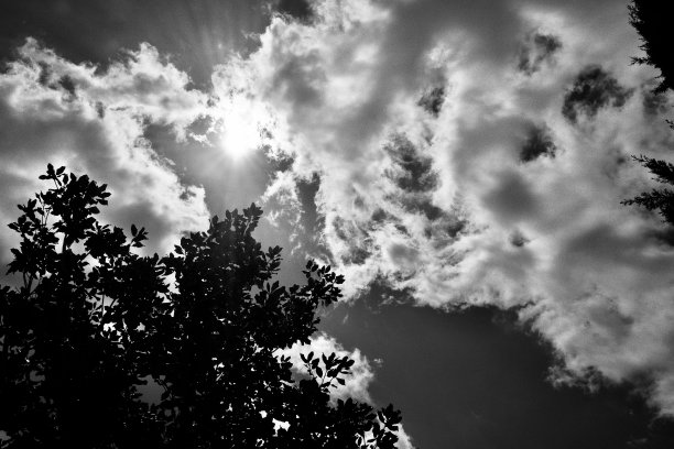 风暴来了图片下载