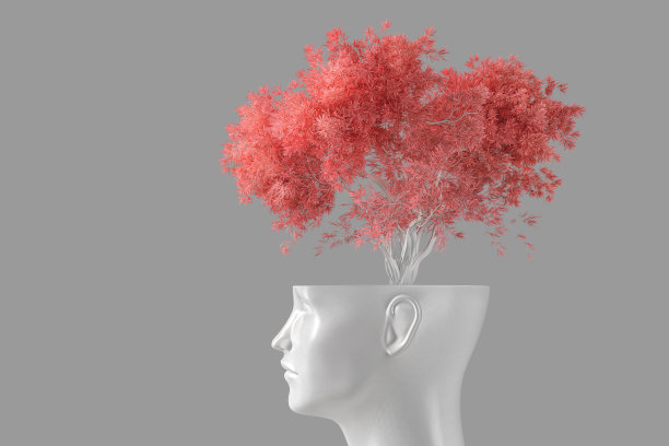 自我认识和个人成长的概念。一个女人的白头，是一棵长在花盆里的树。三维演示图片下载