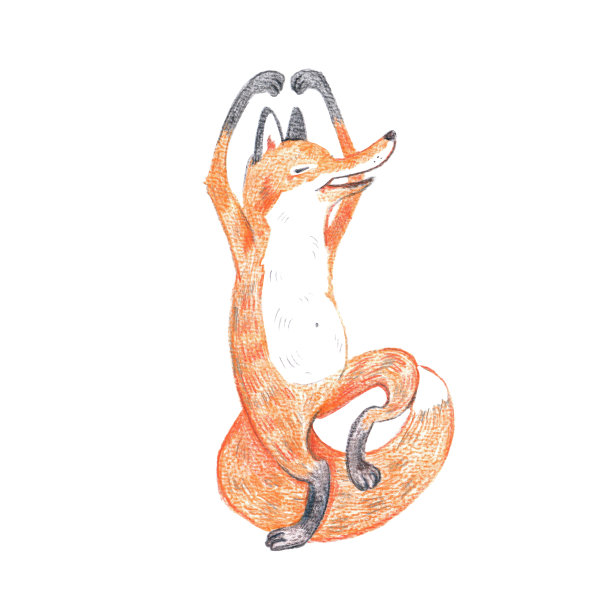 狐狸树姿势瑜伽手绘与蜡笔孤立在白色背景海报横幅设计元素图片下载