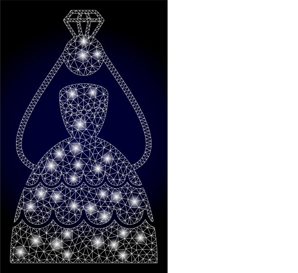 明亮的多边形网冠新娘与光图片下载