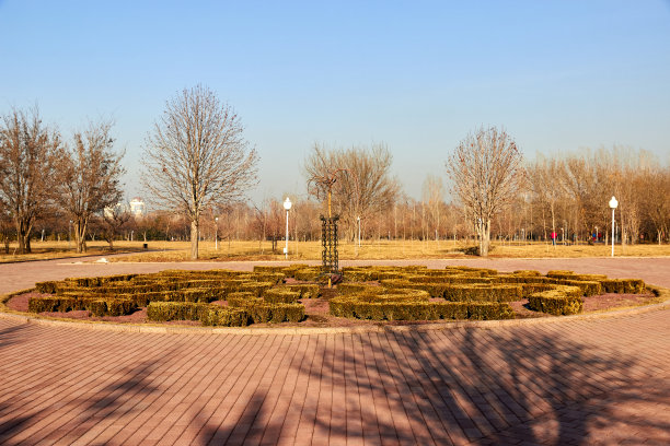 公园里的圆形花坛。有金属栅栏保护的树。铺了铺路石的人行道图片下载