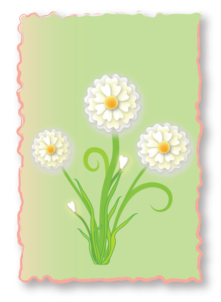 白色的花在一个绿色的抽象框架图片图片下载