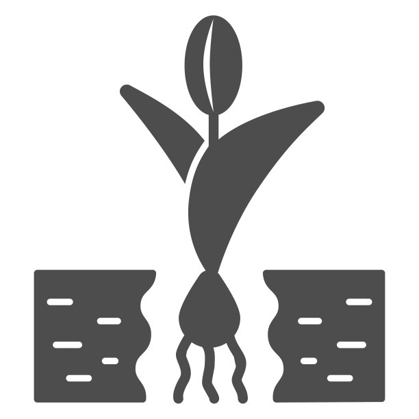 花在土壤固体标志花园和园艺图片下载