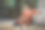 年轻的女学生坐在地板上看书的肖像:-库存照片图片下载