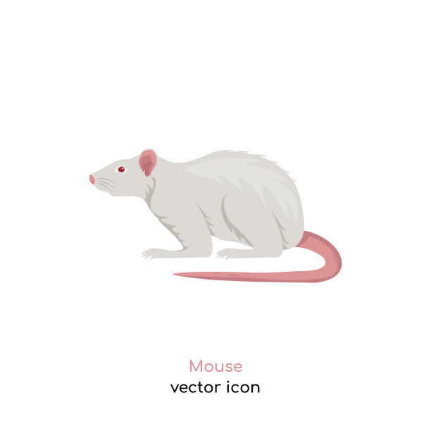 小老鼠的形象图片下载