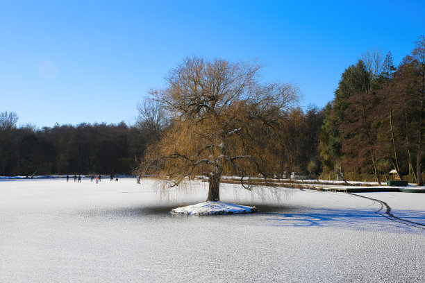 观看结冰的湖与光秃秃的树在中心对蓝色晴朗的天空，辨认不出滑冰的背景- Wegberg (Holtmuhle)，德国图片下载