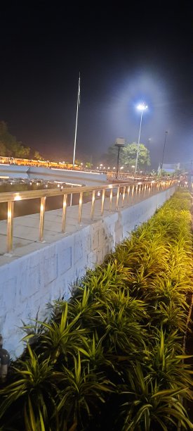 草地和植物与围栏公园照明图片下载