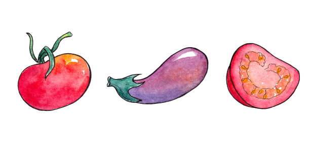 手绘水彩蔬菜。西红柿、茄子。健康食品图片下载