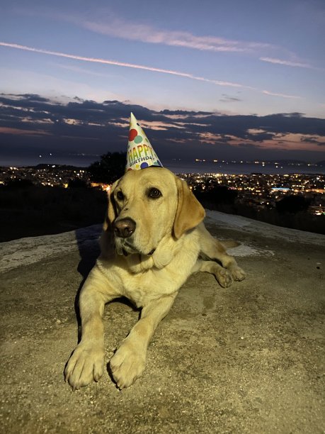 庆祝爸爸的生日图片下载