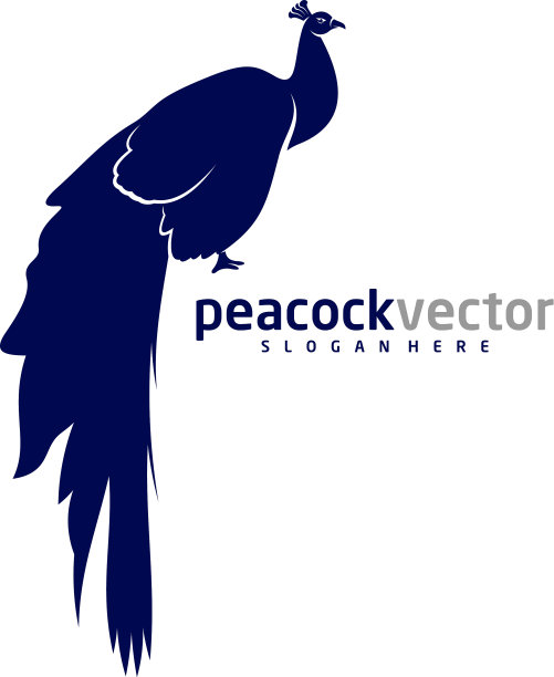 孔雀标志设计模板孔雀鸟图片下载