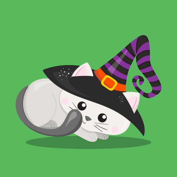 猫白色06图片下载