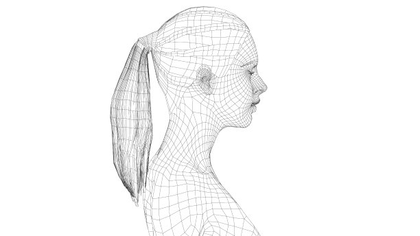 一个年轻美丽的女孩的线框肖像图片下载