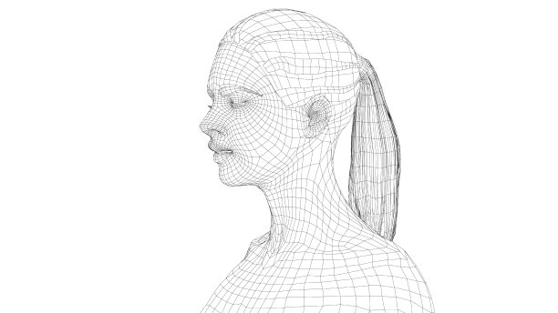 一个年轻美丽的女孩的线框肖像图片下载