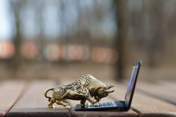 金属牛与笔记本电脑特写。图片下载