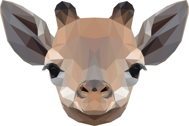 几何插图的一个婴儿长颈鹿头孤立图片下载