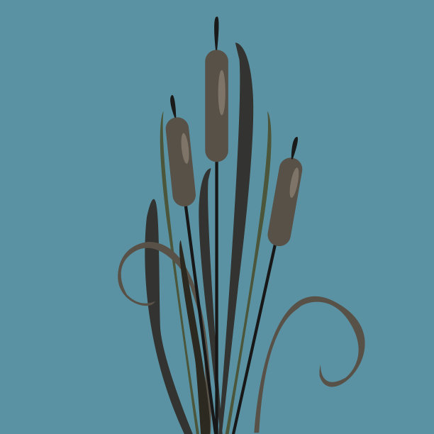 布什沼泽芦苇在湖上图片下载