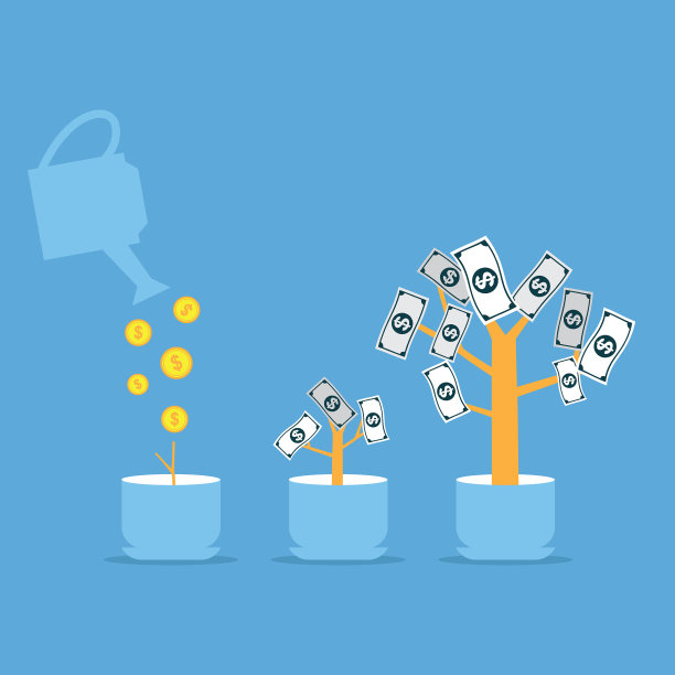 金钱树图片下载