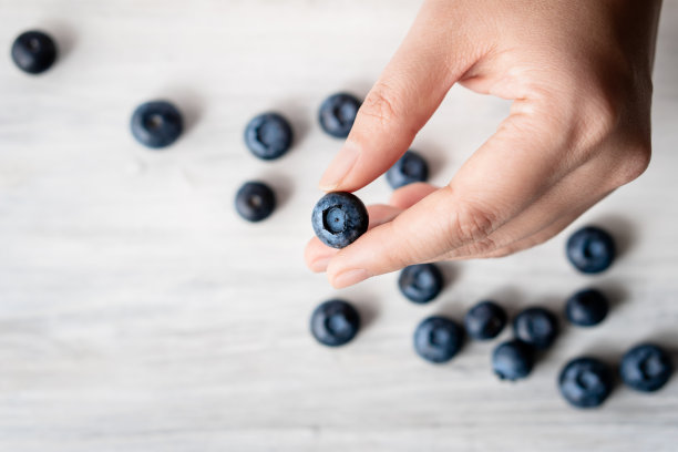 手握收获夏季果酱成分有机生物美味蓝莓健康天然紫色水果浆果甜甜点维生素抗氧化零食与新鲜的湿水滴图片下载