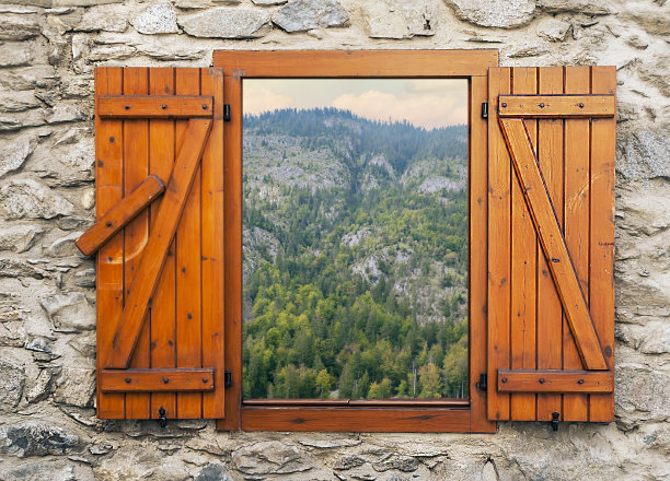 山上的树图片下载