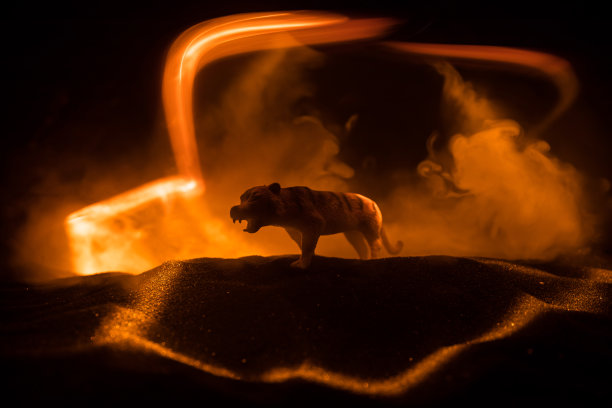 一个微型狮子的剪影站在木桌上。创意装饰与彩色背光与雾。有选择性的重点图片下载