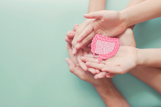 成人和儿童手握肠道形状，健康的肠道消化，漏肠，益生菌和益生元肠道健康，结肠，胃，胃癌的概念图片下载