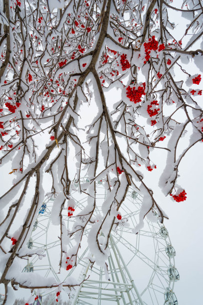 这张冬天的照片是用广角镜头拍摄的，这是这座城市公园里的第一场雪图片下载