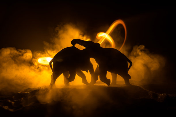 大象的战斗。火焰背景下的大象打斗剪影或两头大象在打斗中相互交流。大象轻轻地碰着彼此图片下载