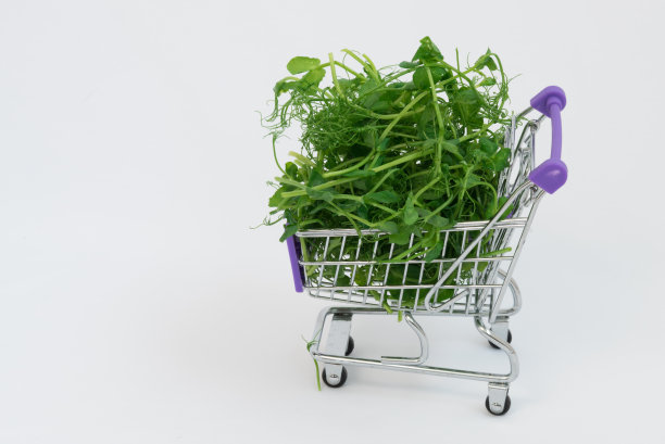 购物车里有微型蔬菜。豌豆苗堆在购物篮里。在购买的概念。价格，对绿色蔬菜的需求。有文本空间。图片下载