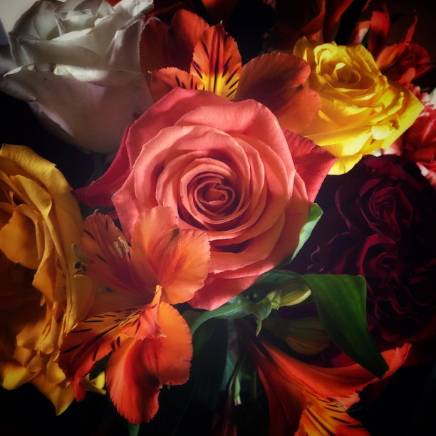 花店的花束图片下载