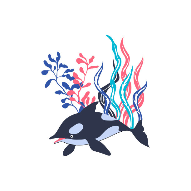 漂浮在海草中的海豚图片下载