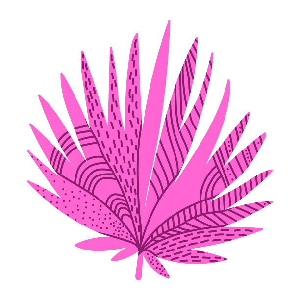 一种粉红色的热带蕨类植物图片下载