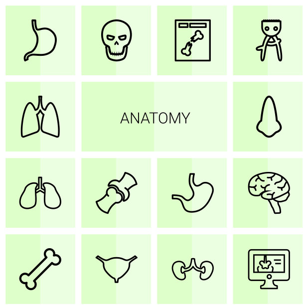 解剖学的图标图片下载