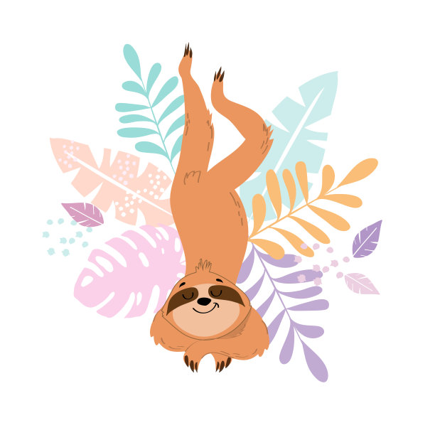 滑稽的树懒在瑜伽姿势和热带树叶在白色的背景图片下载