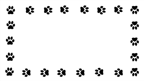 动物的爪印。图片下载