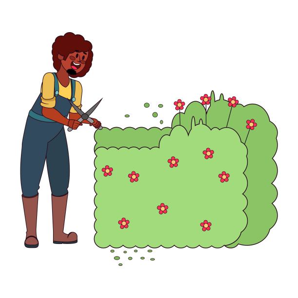 一个孤立的人正在修剪灌木图片下载