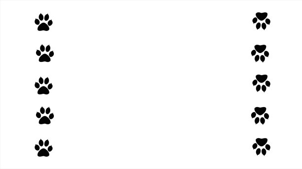 动物的爪印。图片下载