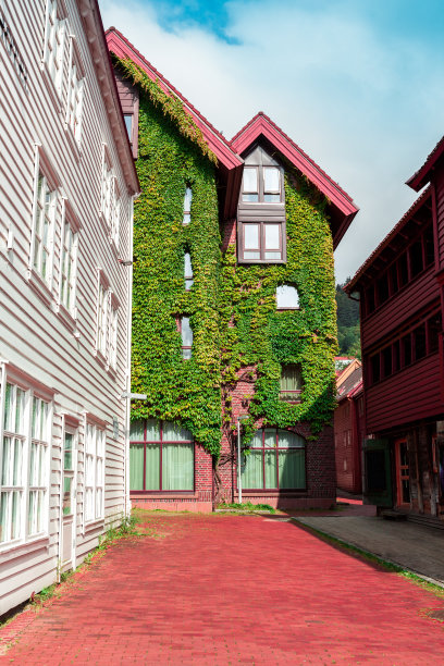 爬满常青藤叶子的老房子图片下载