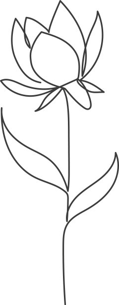 用一条连续的线画出的植物图片下载