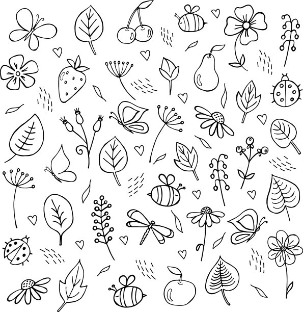 Set doodle叶子花和昆虫图片下载