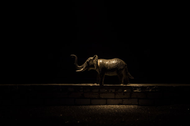 一个小象的剪影站在雾蒙蒙的夜晚。创意桌子装饰与彩色背光与雾。图片下载