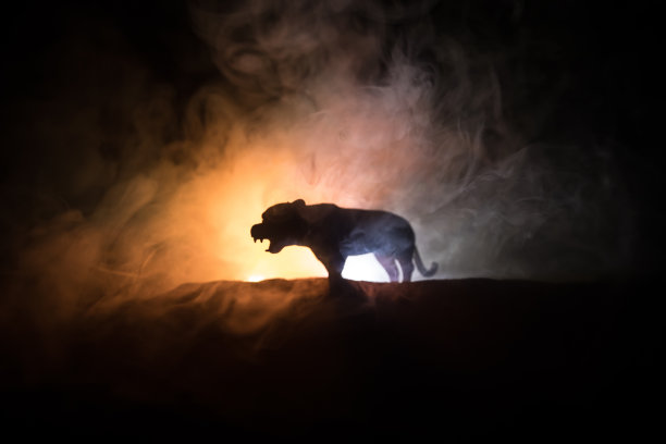 一个微型狮子的剪影站在木桌上。创意装饰与彩色背光与雾。有选择性的重点图片下载