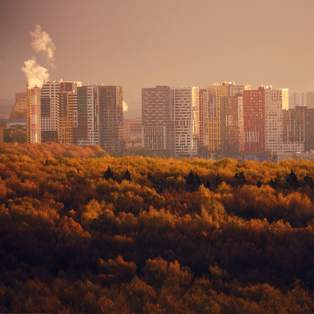 傍晚的风景和美丽的树木在一个秋天公园城外的城市图片下载