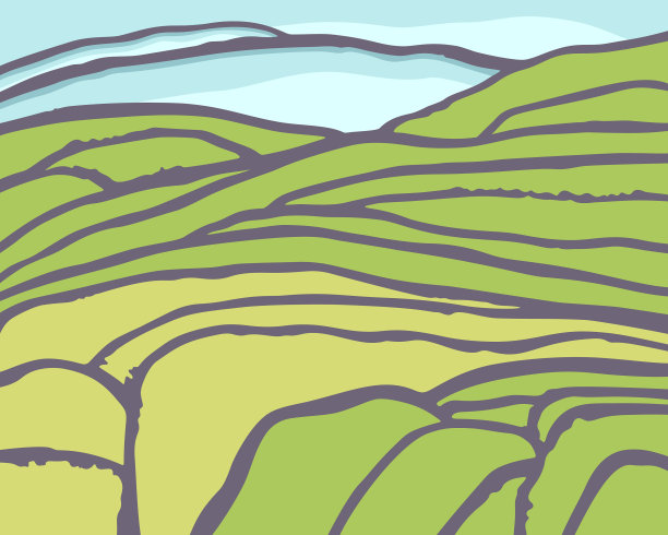 梯田上的水稻或茶园图片下载