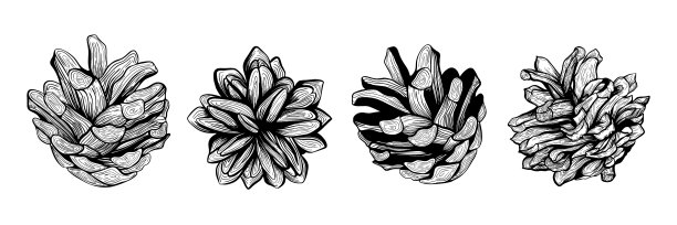 手绘圣诞蛋筒图片下载