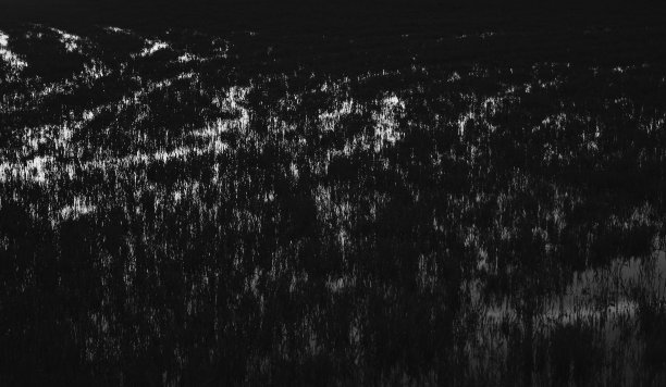 黑色和白色的草纹理背景与潮湿的草地和水坑。模式图片下载