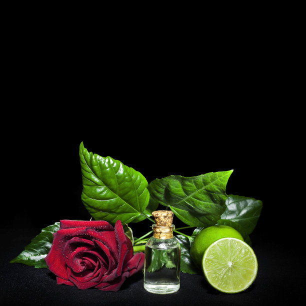 加玫瑰、酸橙和绿叶的油图片下载